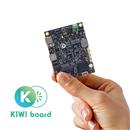kiwi330.jpg